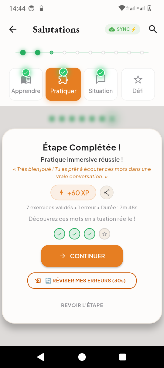 Aperçu 3 - Conjugueur & Grammaire